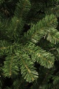 ARBOL CHARLTON 155 CM