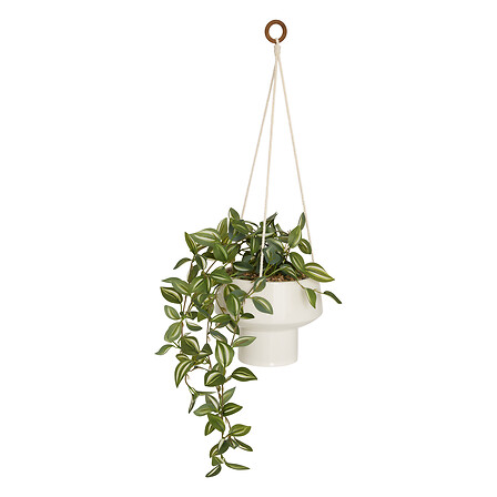 PLANTA COLGANTE HOMY