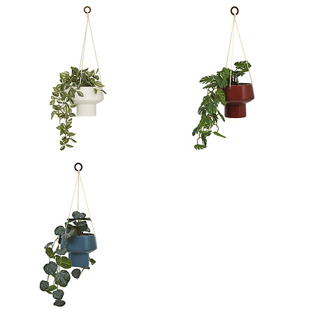 PLANTA COLGANTE HOMY