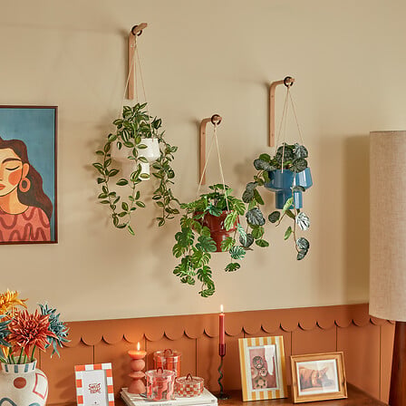 PLANTA COLGANTE HOMY