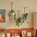PLANTA COLGANTE HOMY
