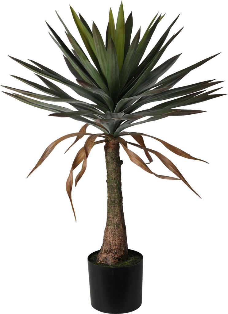PLANTA YUCA 180CM