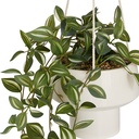 PLANTA COLGANTE HOMY