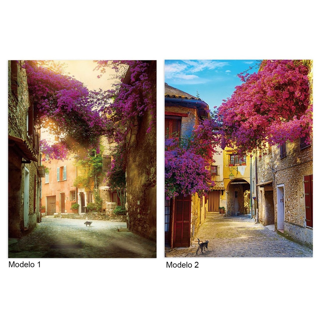 CUADRO BUGANVILIA MEMORIES