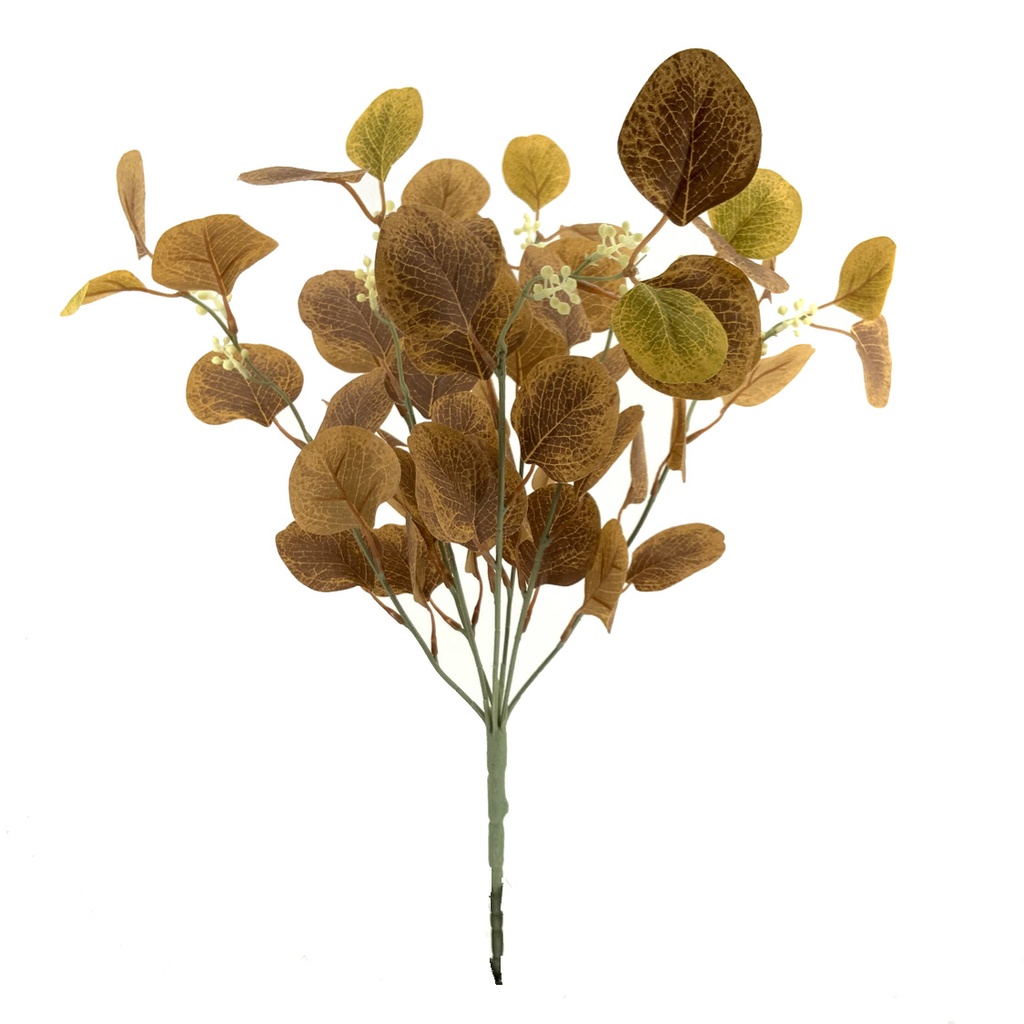 RAMO EUCALYPTUS BURDEOS