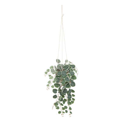[193710JJ] PLANTA COLGANTE ARTIFICIAL