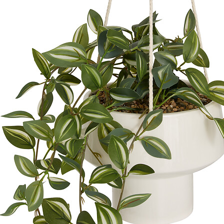 [218931JJ] PLANTA COLGANTE HOMY