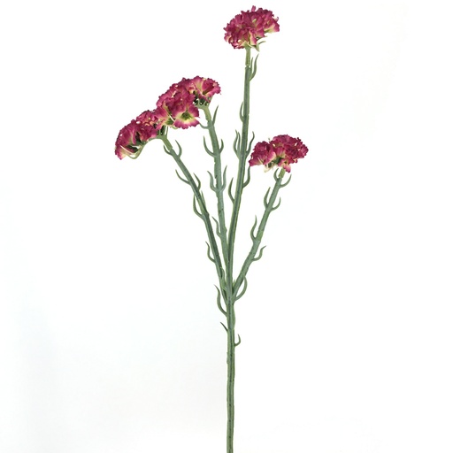 [2058-07Z] STATIS 64 CMS FUCSIA