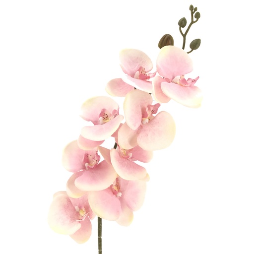 [2350-32Z] ORQUIDEA ROSA CLARO