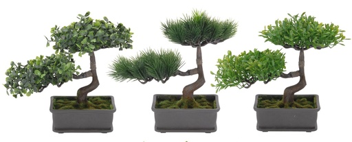 [317002000] Maceta Con Bonsai 22Cm.3Ass