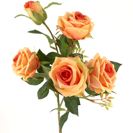 [5151-14Z] ROSAS EN RAMA