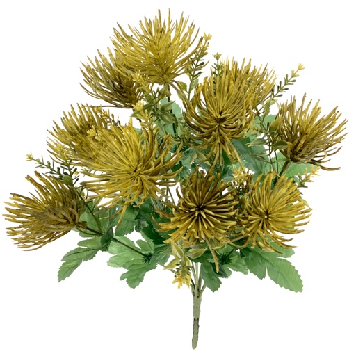 [7342-09Z] RAMO LEUCUSPERMUM VERDE